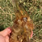 373g Natural smoky citrine quartz cluster crystal specimen healing JC5
