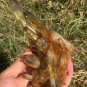 373g Natural smoky citrine quartz cluster crystal specimen healing JC5