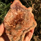 246g COLORFUL RAINBOW FANTASTIC Madagascar Petrified Wood Round Slab Bark #MHS11