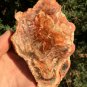 246g COLORFUL RAINBOW FANTASTIC Madagascar Petrified Wood Round Slab Bark #MHS11
