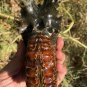 733g Natural Douvilleiceras Polished "Goat Horn" Fossil Ammonite crystal #DZ29