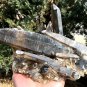 1200g Natural beautiful smoky black quartz cluster crystal specimen healing