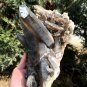 1200g Natural beautiful smoky black quartz cluster crystal specimen healing