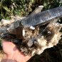 1200g Natural beautiful smoky black quartz cluster crystal specimen healing