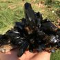 1392g Natural beautiful smoky black quartz cluster crystal specimen healing JQ54