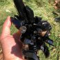 1392g Natural beautiful smoky black quartz cluster crystal specimen healing JQ54