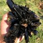1392g Natural beautiful smoky black quartz cluster crystal specimen healing JQ54