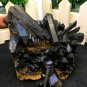 216g Natural beautiful smoky black quartz cluster crystal specimen healing JCHL4
