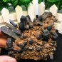 216g Natural beautiful smoky black quartz cluster crystal specimen healing JCHL4