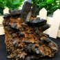 216g Natural beautiful smoky black quartz cluster crystal specimen healing JCHL4