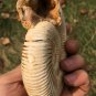 polished Ammonite Nautilus Shell Jurrassic Fossil Specimen Madagascar 313g BL2