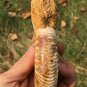 polished Ammonite Nautilus Shell Jurrassic Fossil Specimen Madagascar 321g BL3