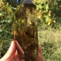 TOP!! Large Natural transparent double-headed citrine crystal quartz tower 730g