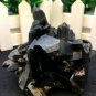 339g Natural beautiful smoky black quartz cluster crystal specimen healing JCHL1