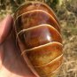 Natural Ammonite Nautilus Shell Jurrassic Fossil Specimen Madagascar 722G #DZ63