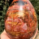 3473g Natural COLORFUL RAINBOW FANTASTIC Madagascar Petrified Wood Egg  - #ZH29