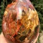 3473g Natural COLORFUL RAINBOW FANTASTIC Madagascar Petrified Wood Egg - #ZH29