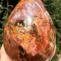 3473g Natural COLORFUL RAINBOW FANTASTIC Madagascar Petrified Wood Egg - #ZH29