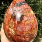 3473g Natural COLORFUL RAINBOW FANTASTIC Madagascar Petrified Wood Egg - #ZH29