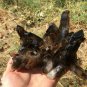 1248g Natural smoky black quartz cluster crystal specimen healing JQ27