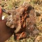 1248g Natural smoky black quartz cluster crystal specimen healing JQ27