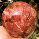 2379g Natural COLORFUL RAINBOW FANTASTIC Madagascar Petrified Wood Ball  - #ZH28