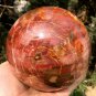2379g Natural COLORFUL RAINBOW FANTASTIC Madagascar Petrified Wood Ball - #ZH28