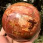 2379g Natural COLORFUL RAINBOW FANTASTIC Madagascar Petrified Wood Ball - #ZH28