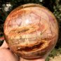 2379g Natural COLORFUL RAINBOW FANTASTIC Madagascar Petrified Wood Ball - #ZH28