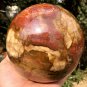 2379g Natural COLORFUL RAINBOW FANTASTIC Madagascar Petrified Wood Ball - #ZH28