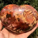 1113g Natural COLORFUL RAINBOW FANTASTIC Madagascar Petrified Wood heart - #ZH75