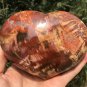 1113g Natural COLORFUL RAINBOW FANTASTIC Madagascar Petrified Wood heart - #ZH75
