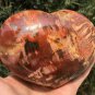 1113g Natural COLORFUL RAINBOW FANTASTIC Madagascar Petrified Wood heart - #ZH75