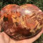 1113g Natural COLORFUL RAINBOW FANTASTIC Madagascar Petrified Wood heart - #ZH75