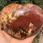 1113g Natural COLORFUL RAINBOW FANTASTIC Madagascar Petrified Wood heart - #ZH75
