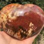 1113g Natural COLORFUL RAINBOW FANTASTIC Madagascar Petrified Wood heart - #ZH75