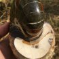 Natural Ammonite Nautilus Shell Jurrassic Fossil Specimen Madagascar 871g #DZ76