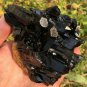 403g Natural smoky black  quartz cluster crystal specimen healing #JQ66