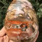 1276g Natural COLORFUL RAINBOW FANTASTIC Madagascar Petrified Wood Egg - #ZH31