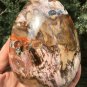 1276g Natural COLORFUL RAINBOW FANTASTIC Madagascar Petrified Wood Egg - #ZH31