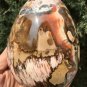 1276g Natural COLORFUL RAINBOW FANTASTIC Madagascar Petrified Wood Egg - #ZH31