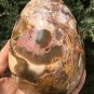 1276g Natural COLORFUL RAINBOW FANTASTIC Madagascar Petrified Wood Egg - #ZH31