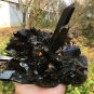 2581g Natural smoky black quartz cluster crystal specimen healing #JQ67