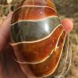 Natural Ammonite Nautilus Shell Jurrassic Fossil Specimen Madagascar 448G #DZ64