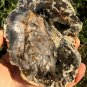 306g COLORFUL RAINBOW FANTASTIC Madagascar Petrified Wood Round Slab Bark #MHS5