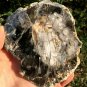 306g COLORFUL RAINBOW FANTASTIC Madagascar Petrified Wood Round Slab Bark #MHS5