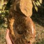 14.799lb HUGE White Pretty Ribbed Whole Ammonite Nautilus Fossil #DZ85