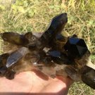 824g Natural smoky black  quartz cluster crystal specimen healing JC7
