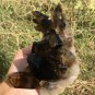 824g Natural smoky black  quartz cluster crystal specimen healing JC7