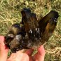 375g Natural smoky citrine quartz cluster crystal specimen healing JC3